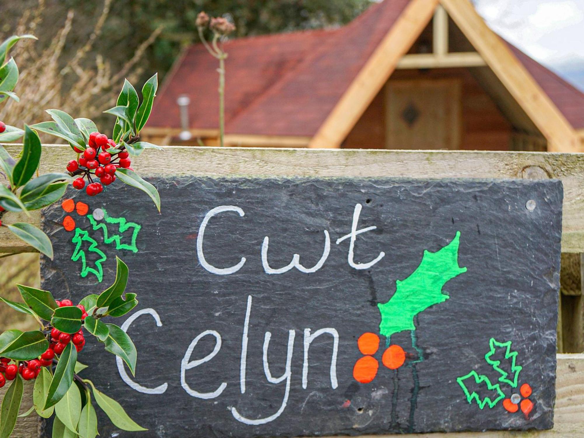 Cwt Celyn-qu7605 Llangerniew